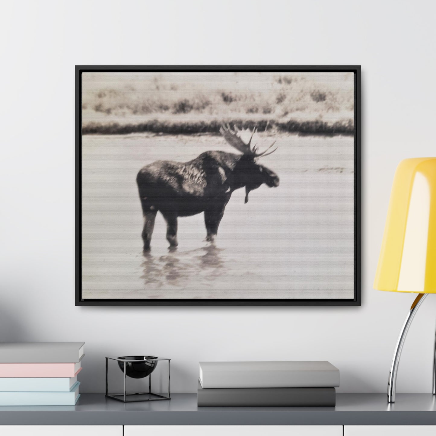 Yellowstone Bull Moose Gallery Canvas Wraps, Horizontal Frame