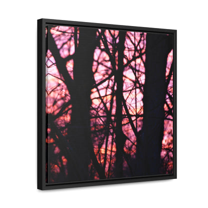 Dawn Gallery Canvas Wraps, Square Frame