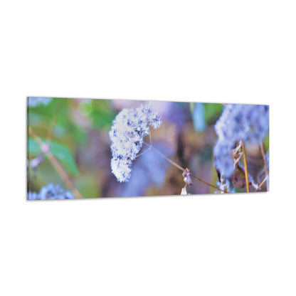 Macro Blue Canvas Gallery Wraps