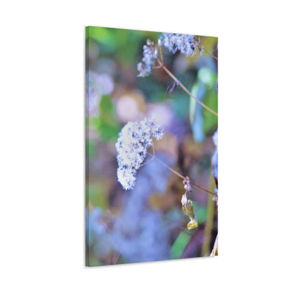 Macro Blue Canvas Gallery Wraps