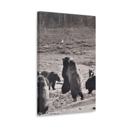 Yellowstone Grizzly Bears Canvas Gallery Wraps