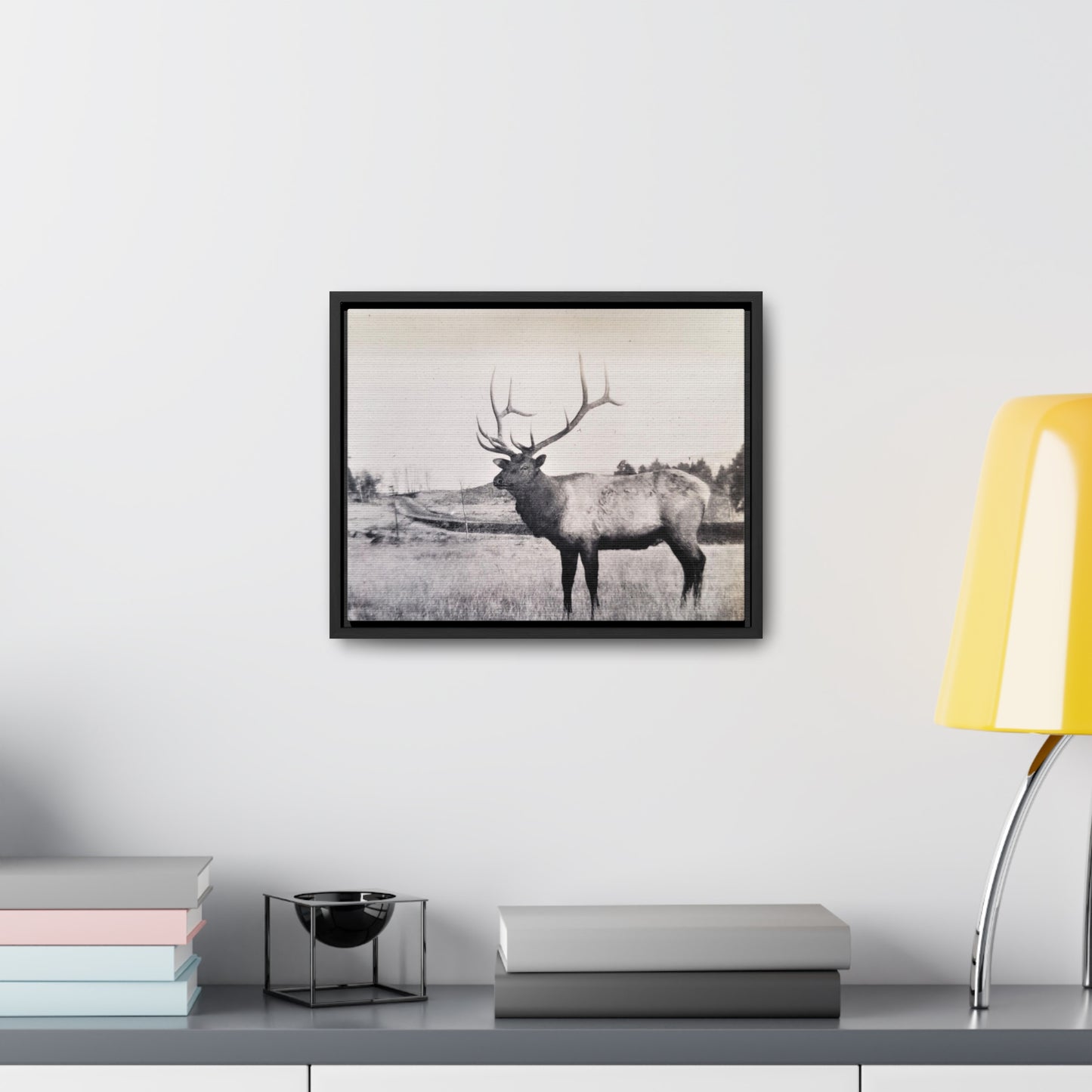 Yellowstone Bull Elk Gallery Canvas Wraps, Horizontal Frame