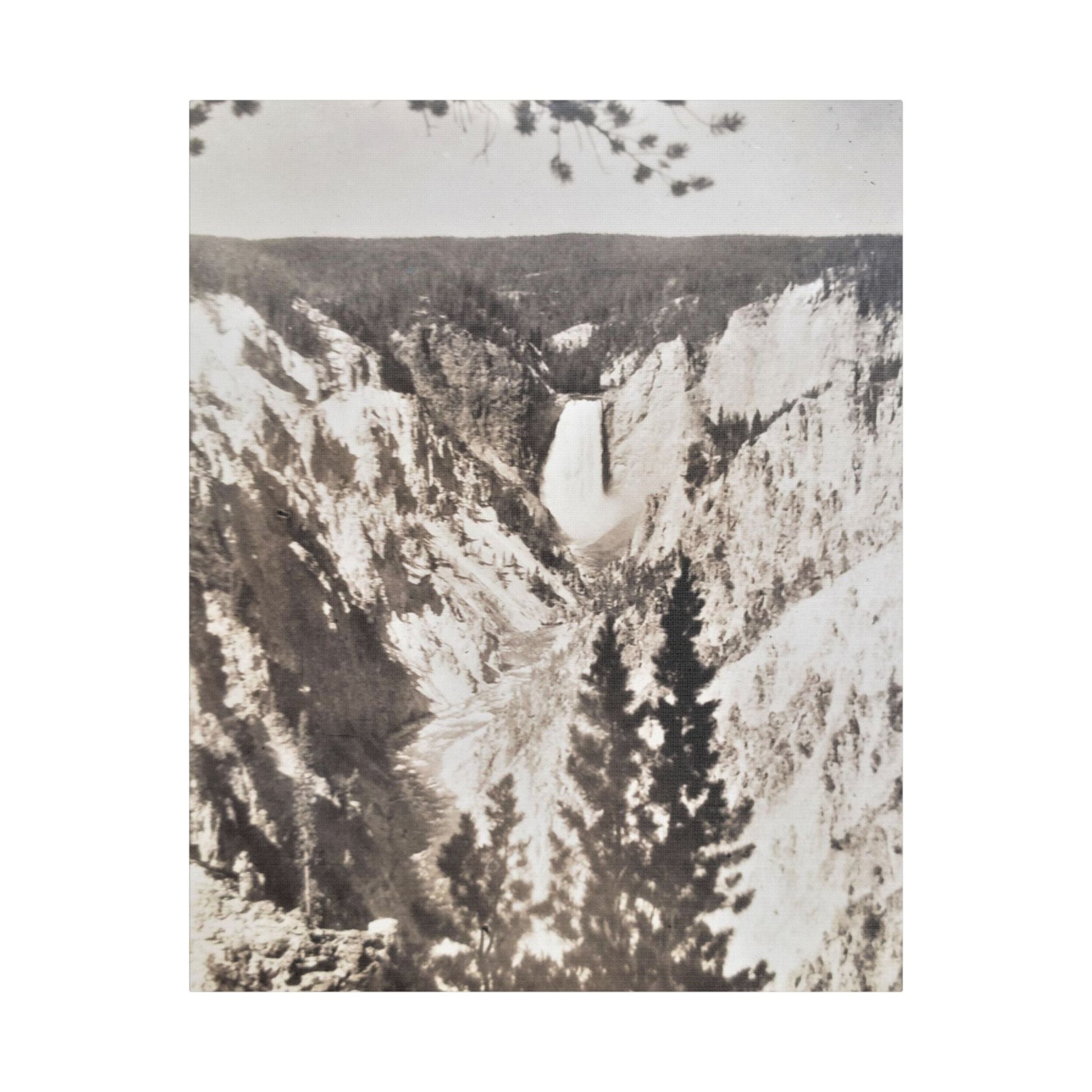 Artists Point Yellowstone Satin Canvas Stretched