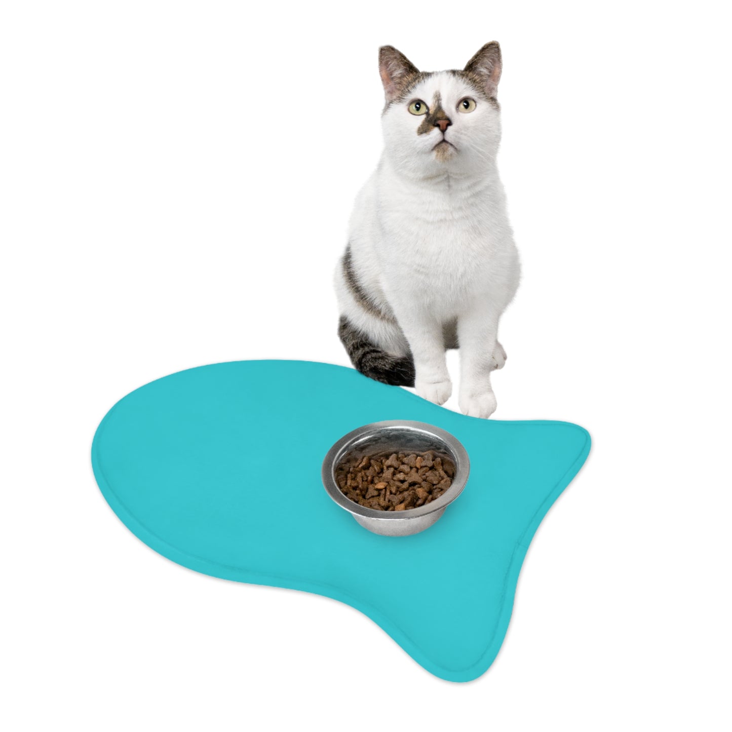 Teal Pet Feeding Mats