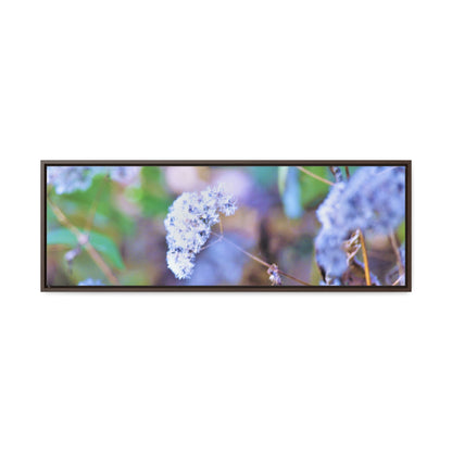 Macro Blue Gallery Canvas Wraps, Horizontal Frame 36″ x 12″ Walnut Premium Gallery Wraps (1.25″)