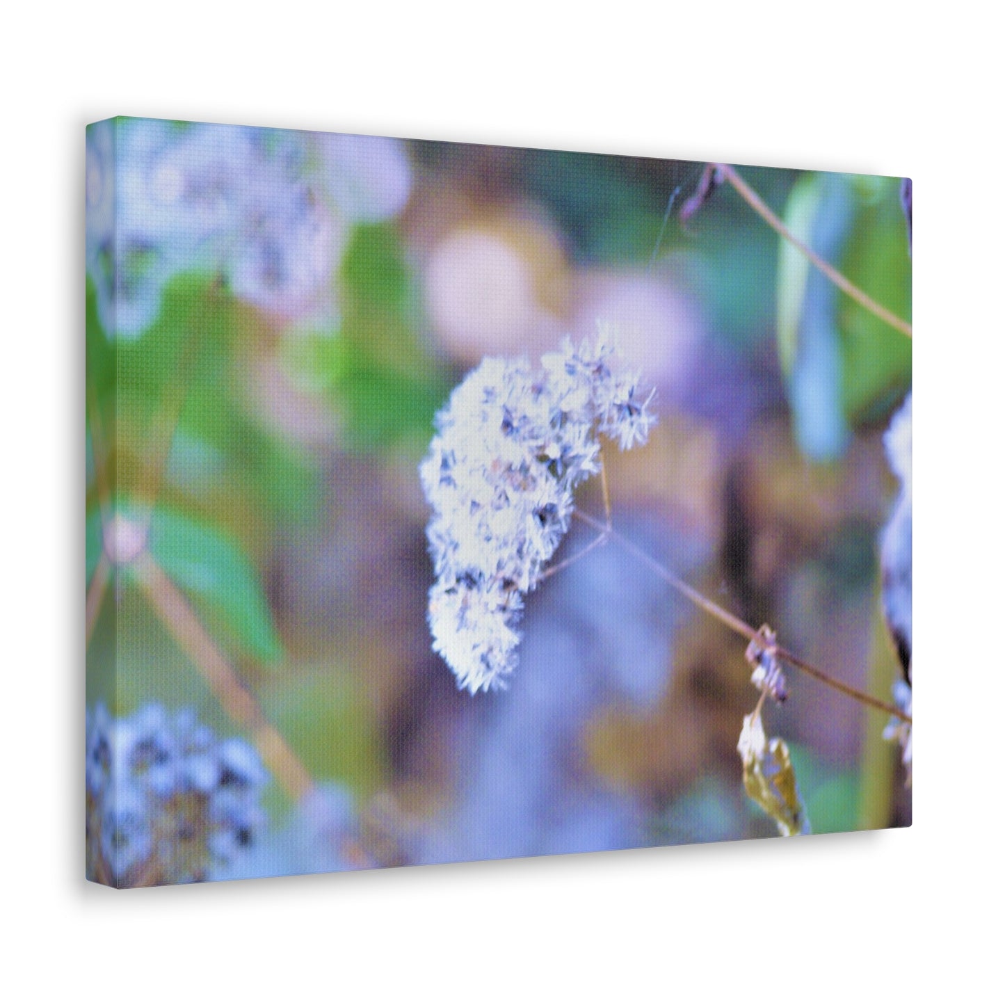 Macro Blue Canvas Gallery Wraps