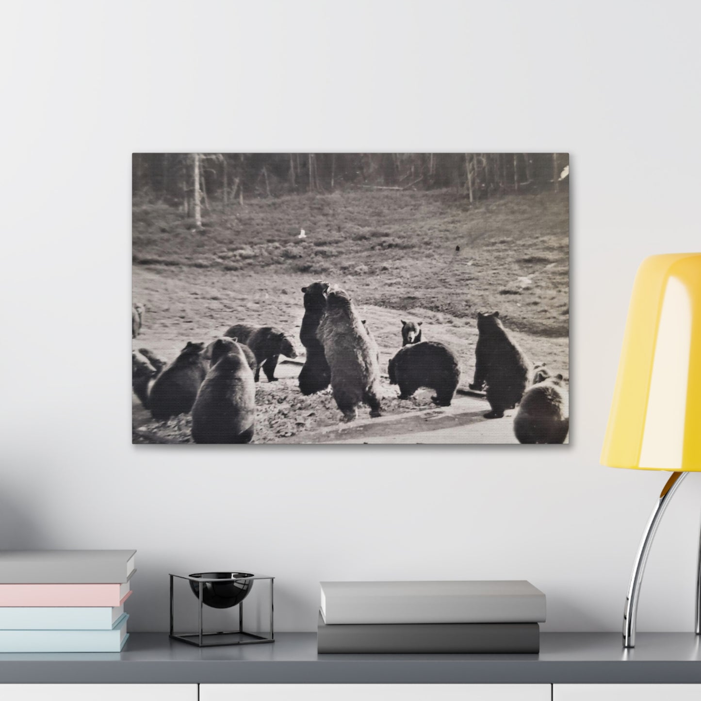 Yellowstone Grizzly Bears Canvas Gallery Wraps