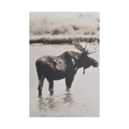 Yellowstone Bull Moose Satin Canvas, Stretched 24″ x 36″ (Vertical) 1.5"