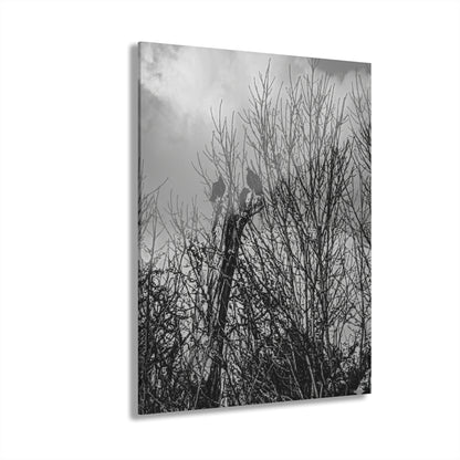 Black & White Buzzards in Winter Trees French Cleat Hanging - - Home Decor