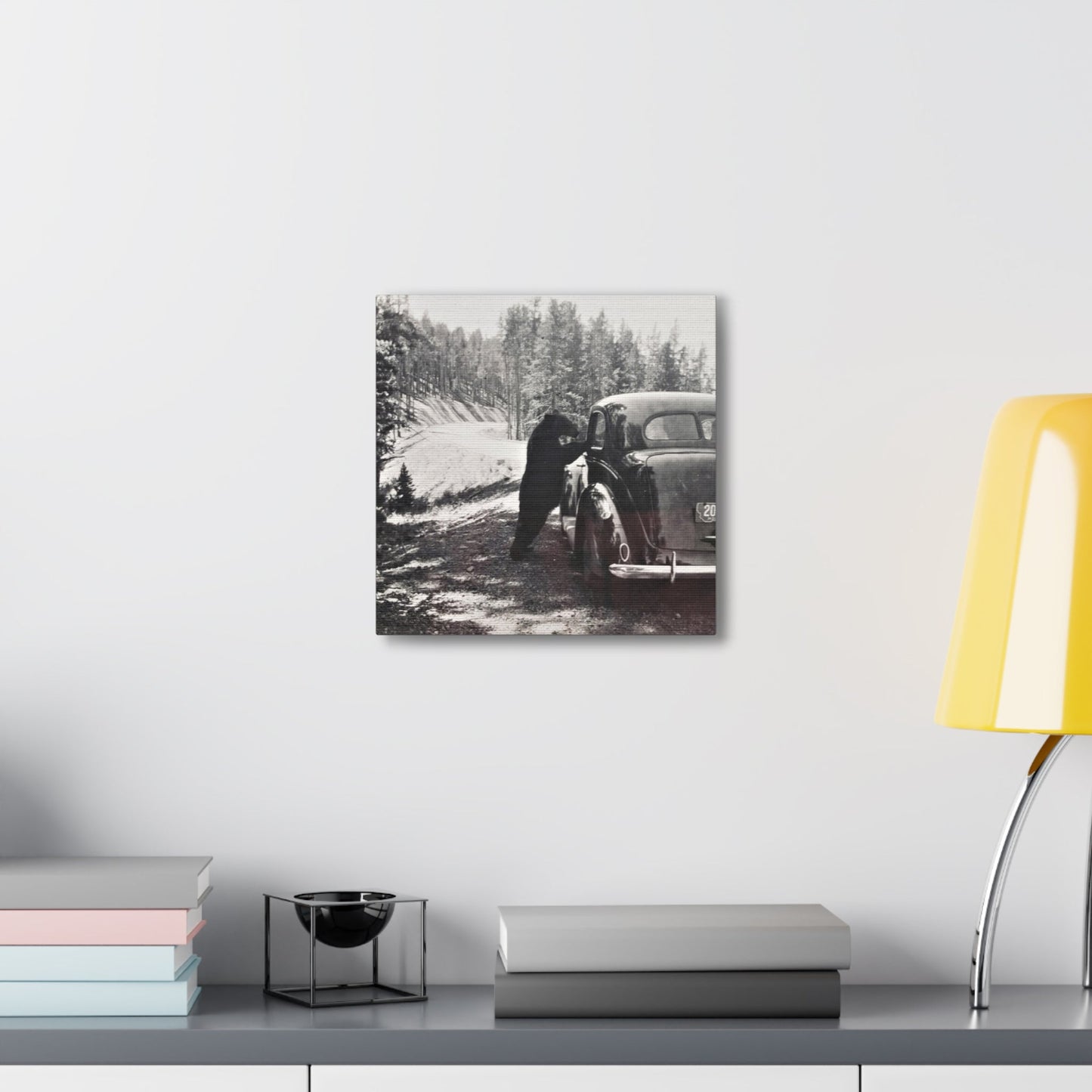Yellowstone Bear Car Canvas Gallery Wraps 12″ x 12″ 1.25"