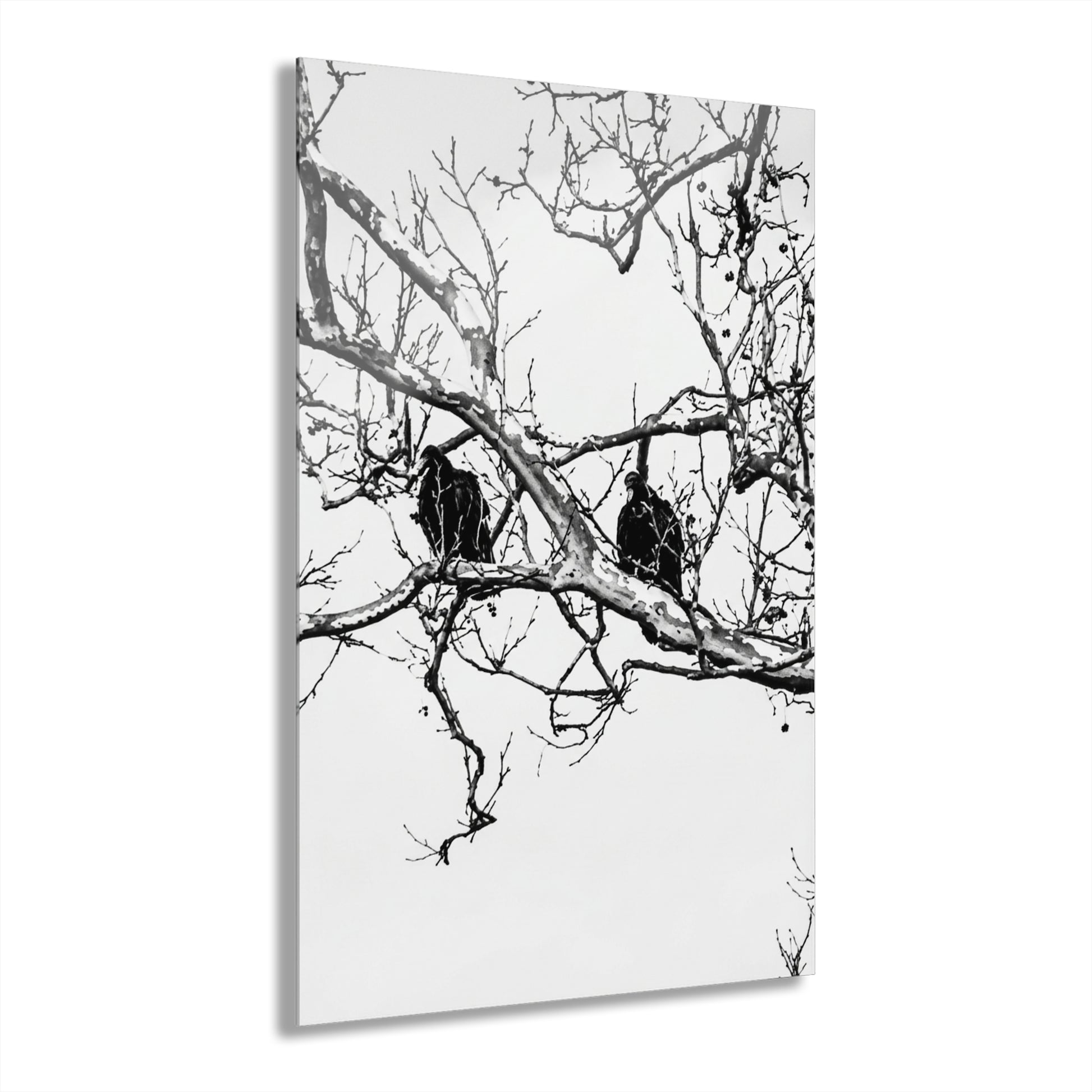 Black & White Buzzards Silhouette Acrylic Print — Modern Minimalist Wall Art - - Home Decor