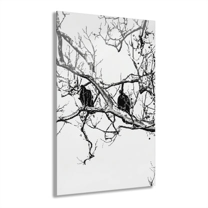 Black & White Buzzards Silhouette Acrylic Print — Modern Minimalist Wall Art - - Home Decor