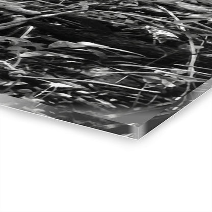 Black & White Deep Timber Path Acrylic Print French Cleat Hanging - - Home Decor