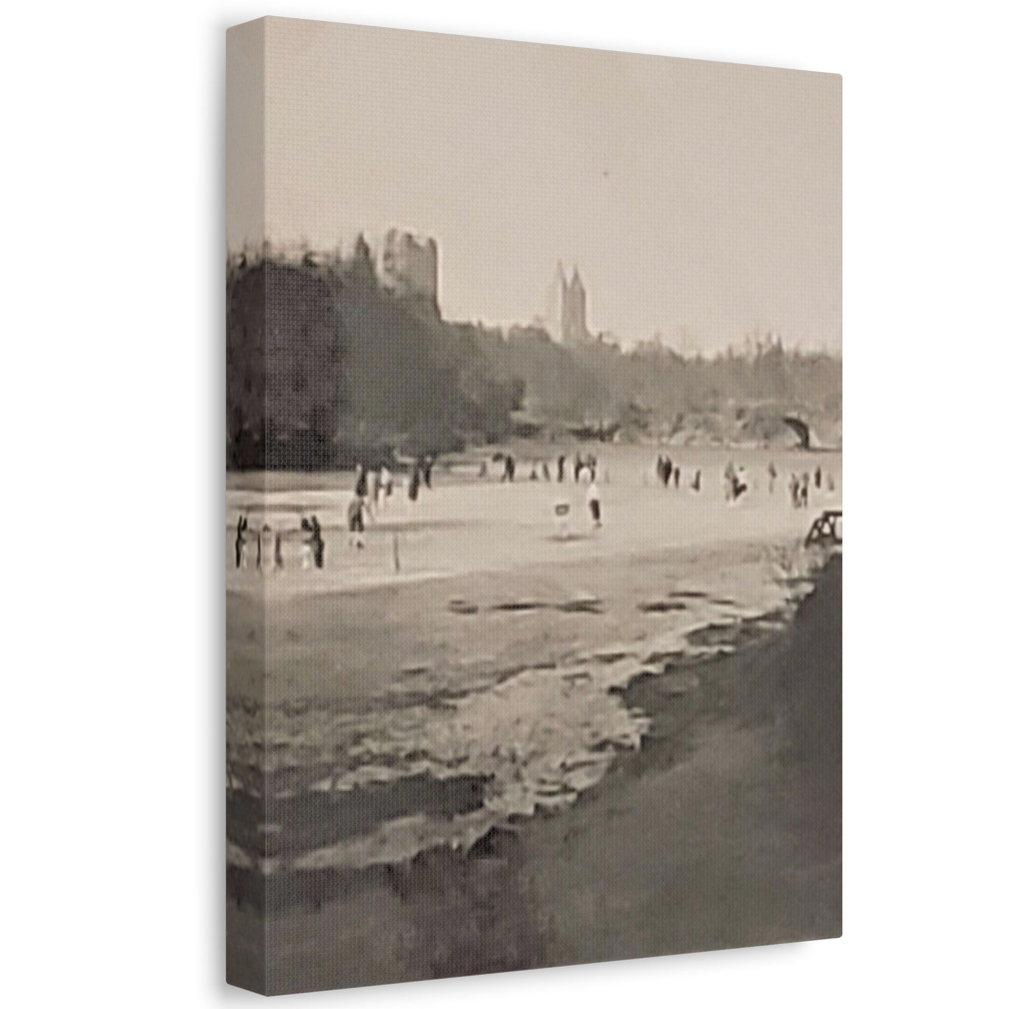 Central Park Stretched Canvas