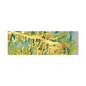 Acid Rain Canvas Gallery Wraps 60″ x 20″ 1.25"