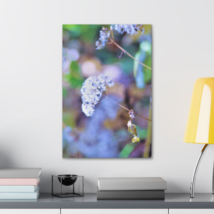 Macro Blue Canvas Gallery Wraps