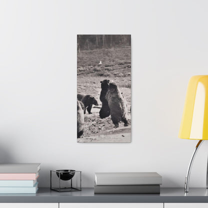 Yellowstone Grizzly Bears Canvas Gallery Wraps 10″ x 20″ 1.25"