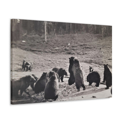 Yellowstone Grizzly Bears Canvas Gallery Wraps