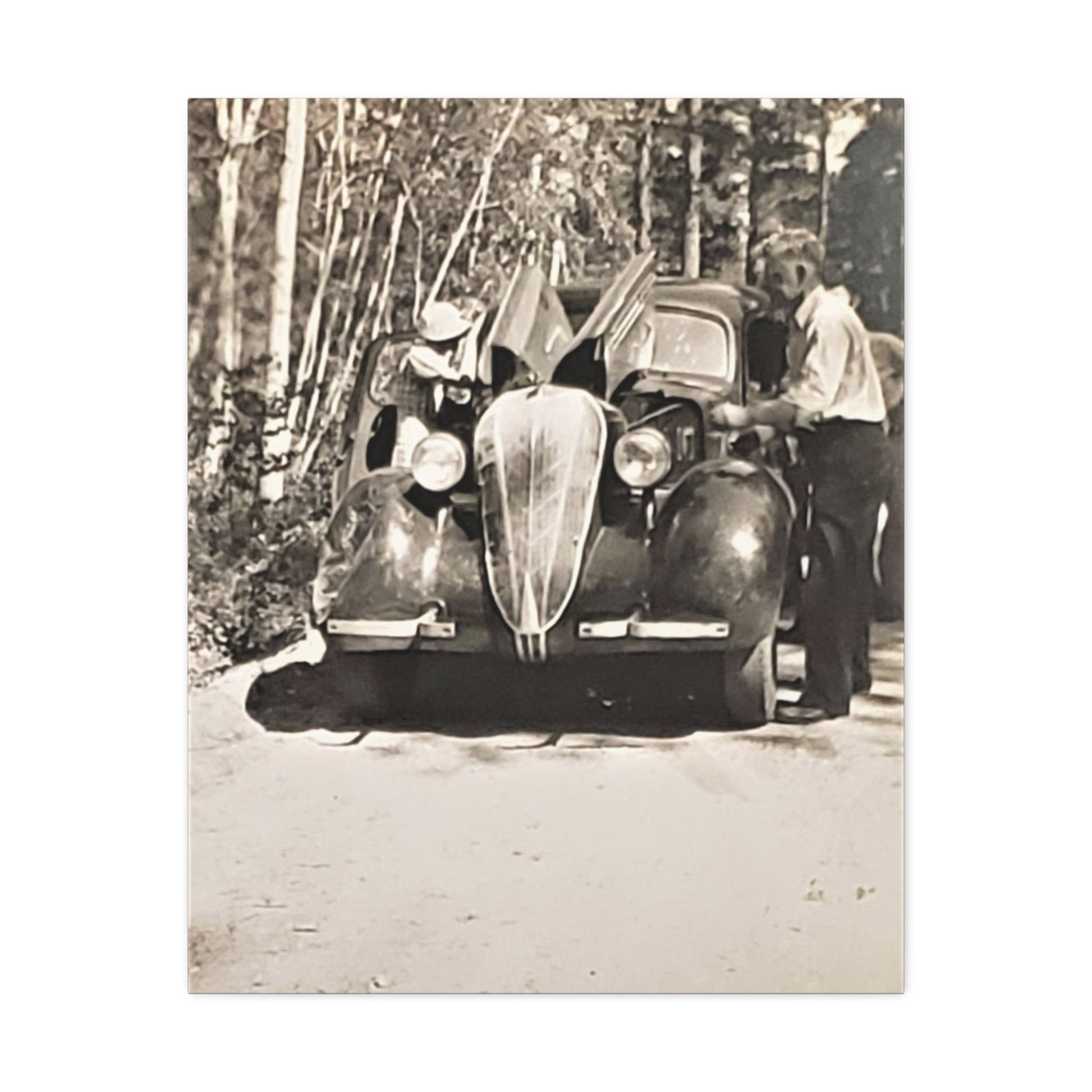 After The Black Hills 1939 Stretched Canvas