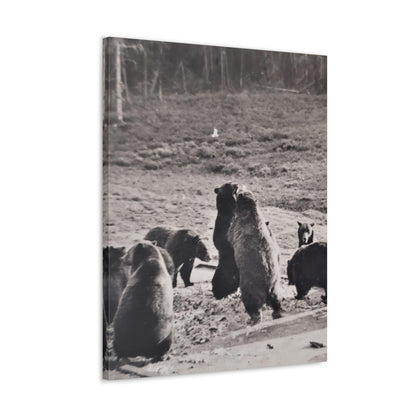 Yellowstone Grizzly Bears Canvas Gallery Wraps