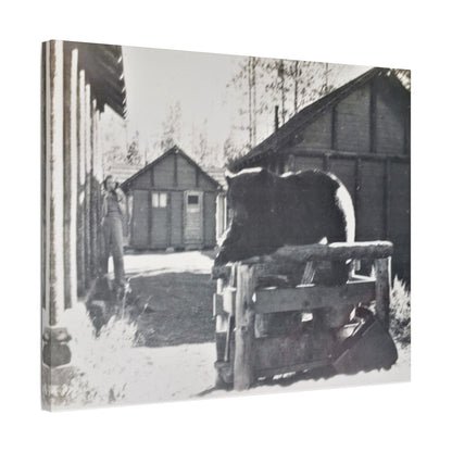 Yellowstone Bear Satin Canvas Stretched