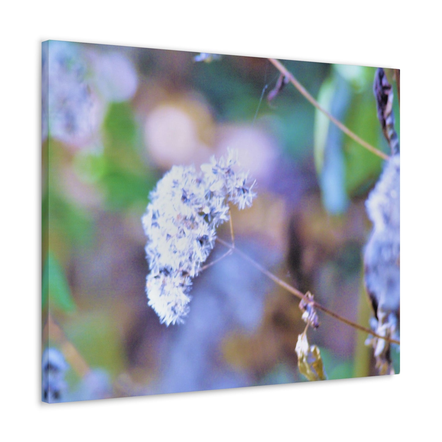 Macro Blue Canvas Gallery Wraps