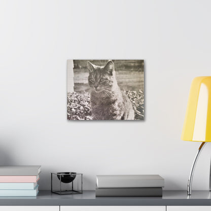 Caledonia Canvas Gallery Wraps 14″ x 11″ 1.25"