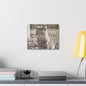 Caledonia Canvas Gallery Wraps 14″ x 11″ 1.25"