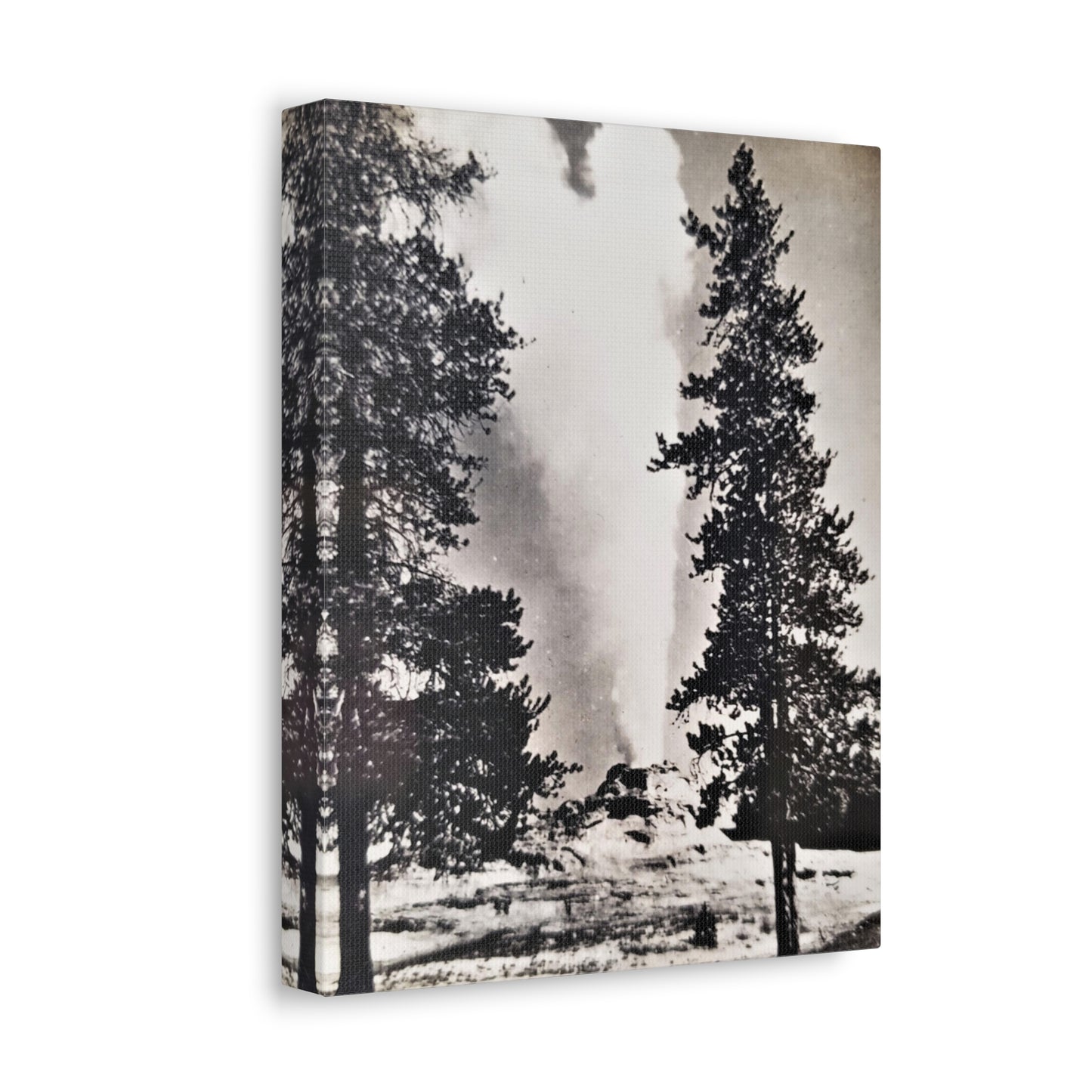 Castle Geyser Yellowstone Stretched Canvas