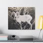 Yellowstone Big Horn Sheep Canvas Gallery Wraps 24″ x 20″ 1.25"
