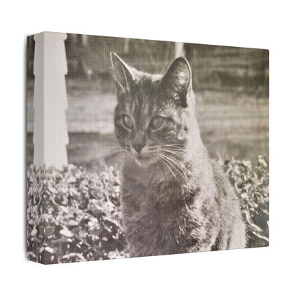 Caledonia Satin Canvas Stretched
