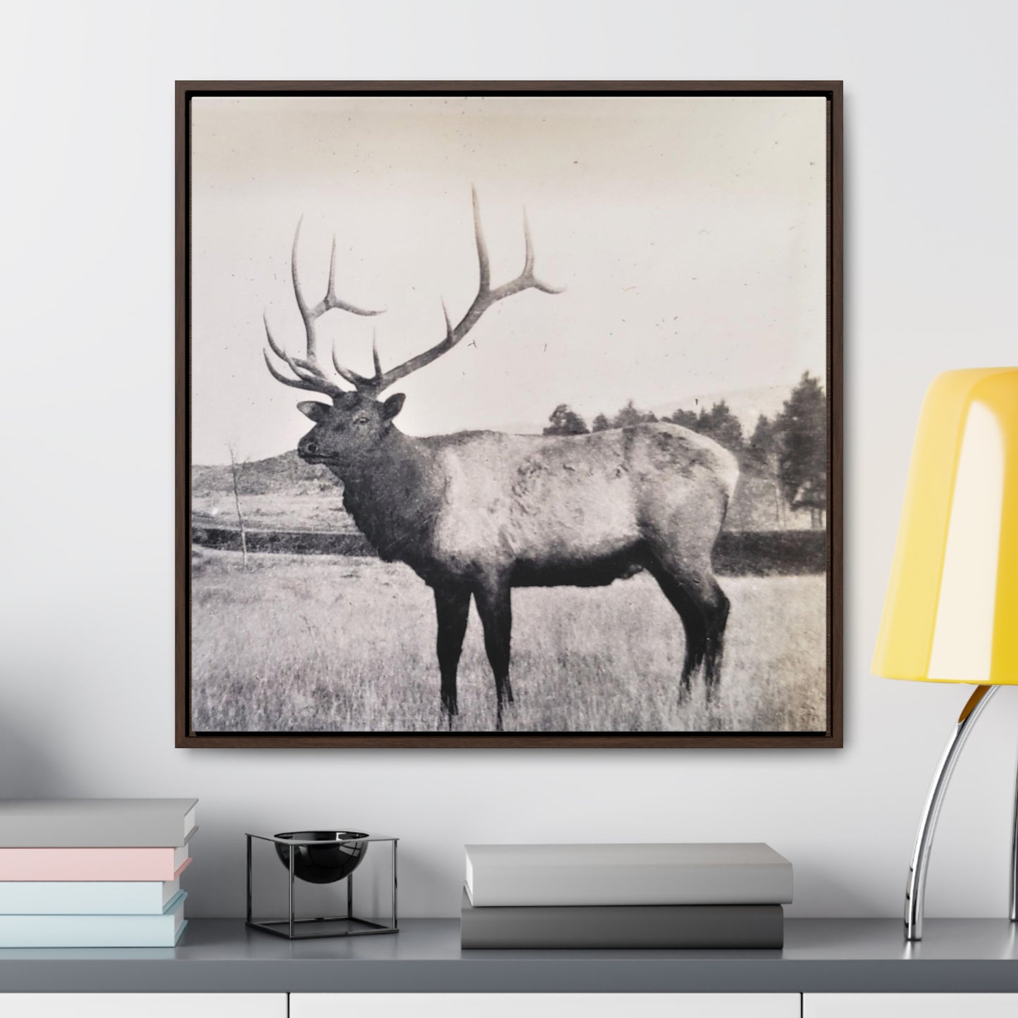 Yellowstone Bull Elk Gallery Canvas Wraps, Square Frame