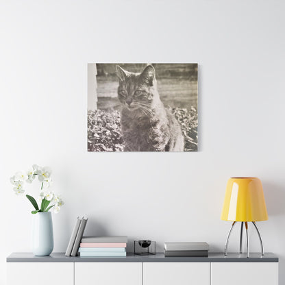 Caledonia Satin Canvas Stretched