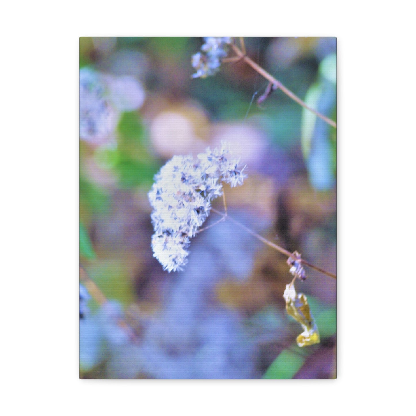 Macro Blue Canvas Gallery Wraps