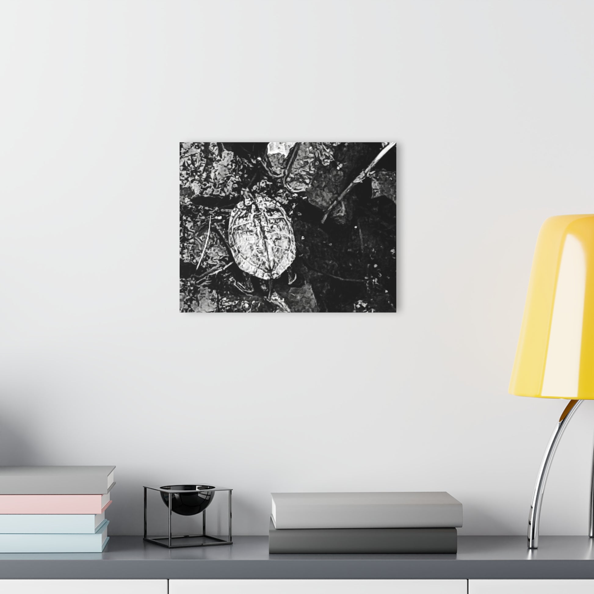 Black & White Turtle Macro Acrylic Print — Modern Nature Wall Art French Cleat Hanging - - Home Decor