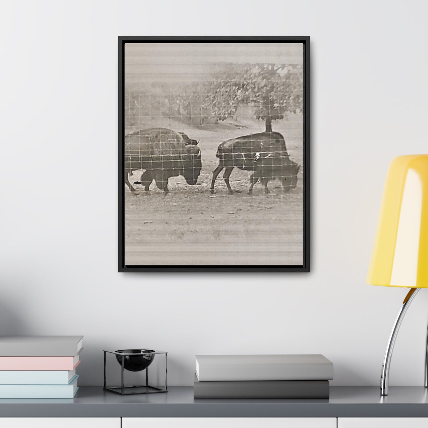 Buffalo at Redwood Falls Gallery Canvas Wraps, Vertical Frame