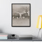 Buffalo at Redwood Falls Gallery Canvas Wraps Vertical Frame 16″ x 20″ Premium Gallery Wraps (1.25″) Black