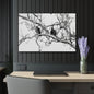 Black & White Buzzards Silhouette Acrylic Print — Modern Minimalist Wall Art - 36" x 24" (Horizontal) 0.25'' - Home Decor