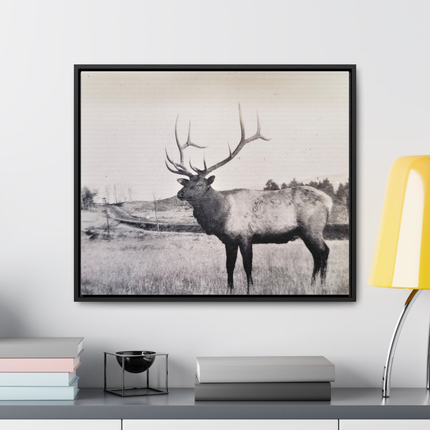 Yellowstone Bull Elk Gallery Canvas Wraps, Horizontal Frame