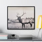 Yellowstone Bull Elk Gallery Canvas Wraps Horizontal Frame 24″ x 20″ Black Premium Gallery Wraps (1.25″)
