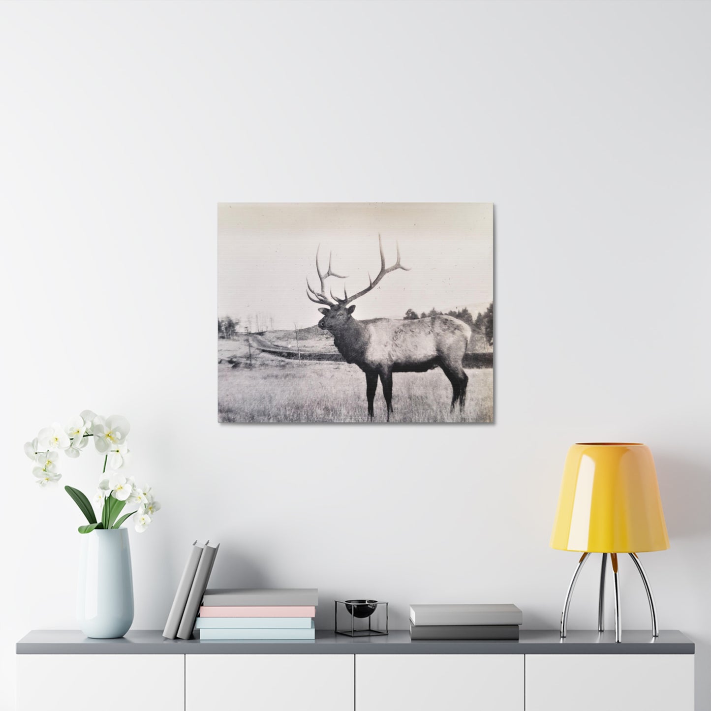 Yellowstone Bull Elk Stretched Canvas