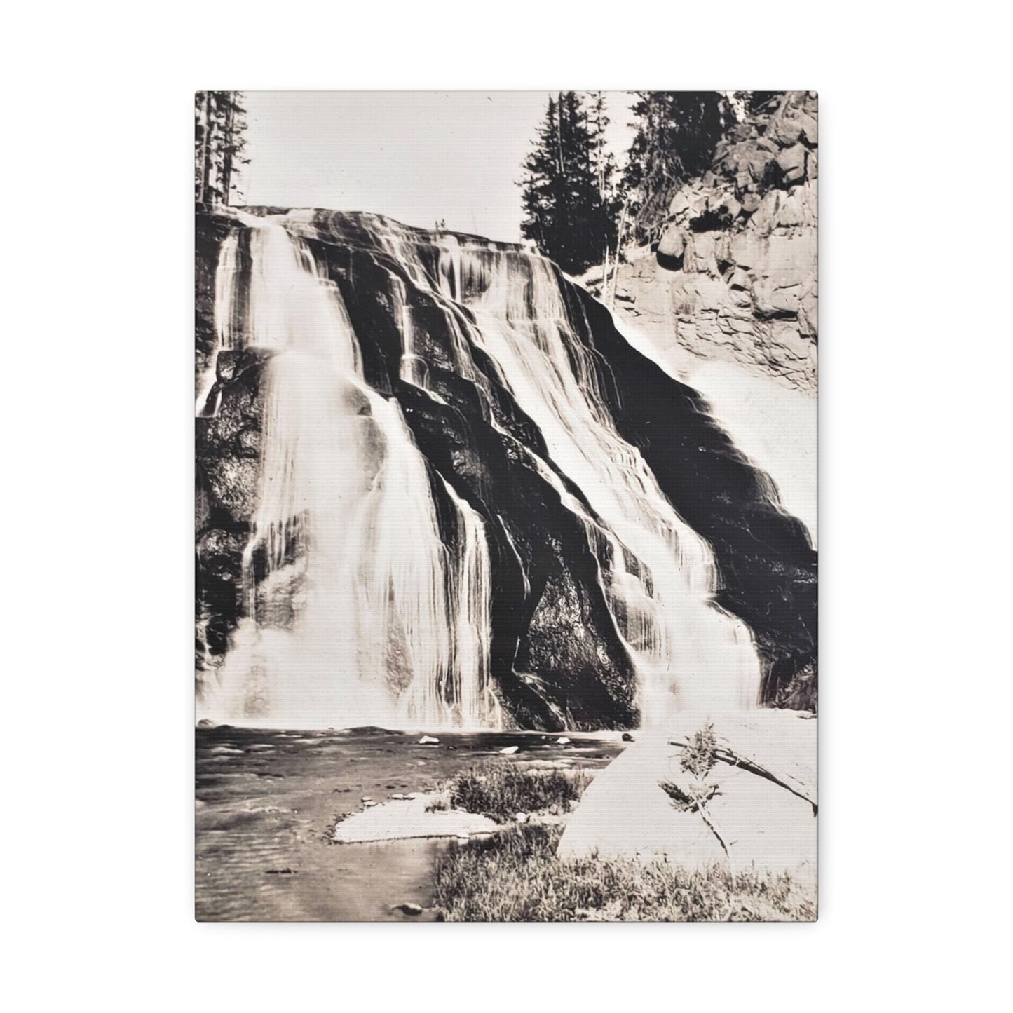 Gibbon Falls Yellowstone Stretched Canvas