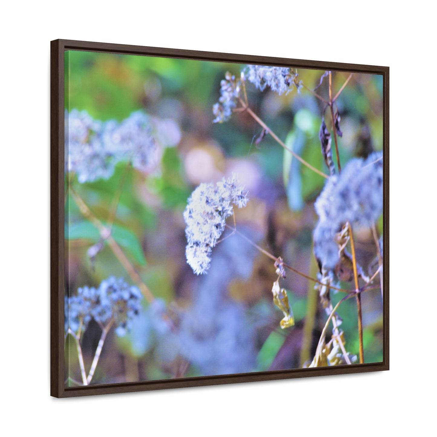 Macro Blue Gallery Canvas Wraps, Horizontal Frame