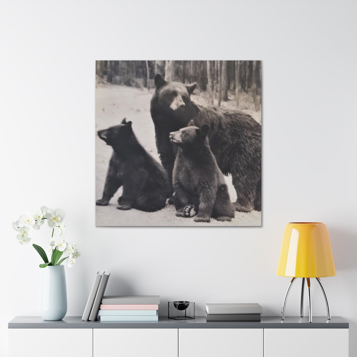 Yellowstone Black Bears Canvas Gallery Wraps