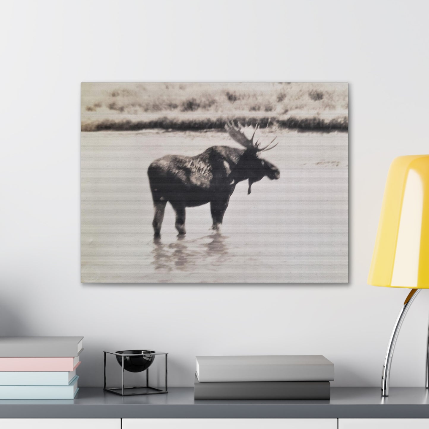 Yellowstone Bull Moose Canvas Gallery Wraps