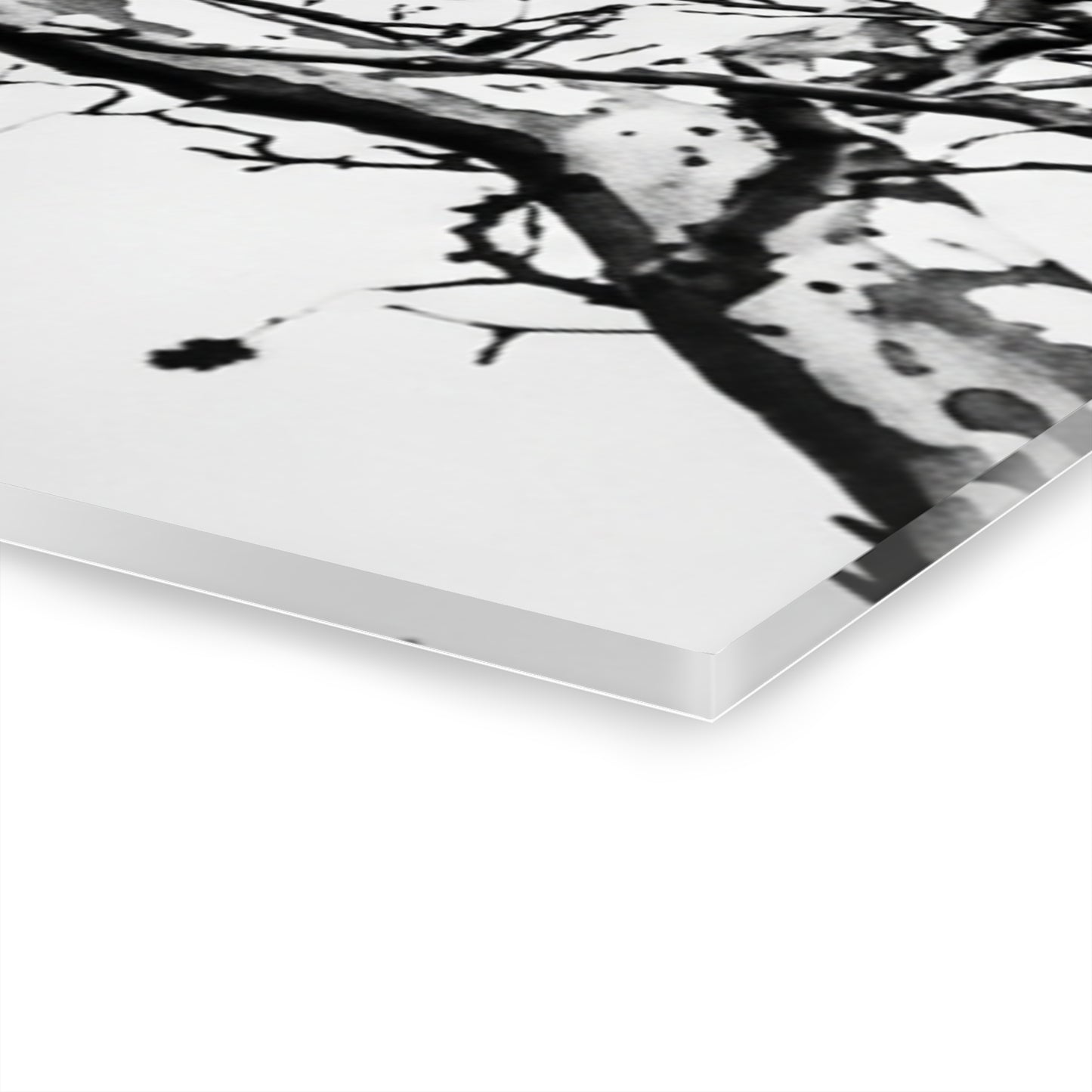 Black & White Buzzards Silhouette Acrylic Print — Modern Minimalist Wall Art - - Home Decor