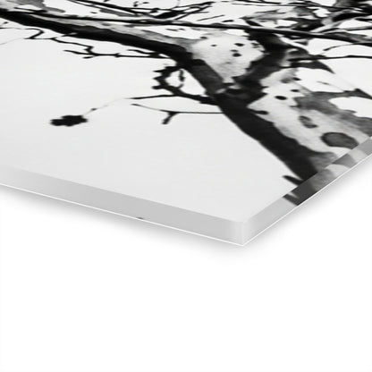 Black & White Buzzards Silhouette Acrylic Print — Modern Minimalist Wall Art - - Home Decor