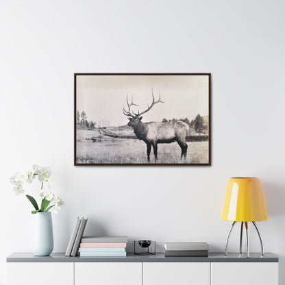 Yellowstone Bull Elk Gallery Canvas Wraps Horizontal Frame 36″ x 24″ Walnut Premium Gallery Wraps (1.25″)