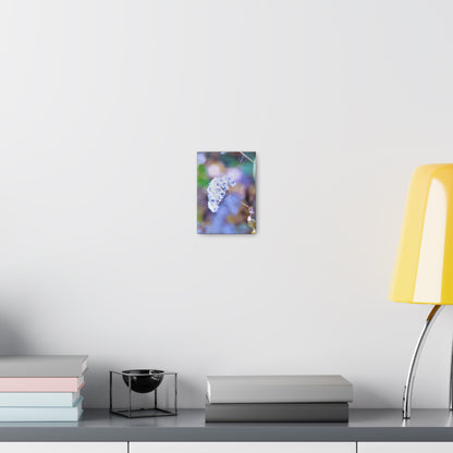 Macro Blue Canvas Gallery Wraps