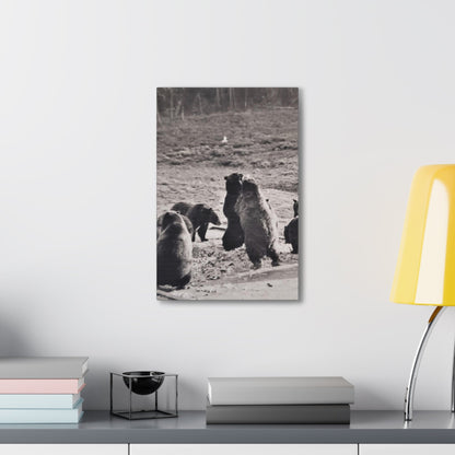 Yellowstone Grizzly Bears Canvas Gallery Wraps 12" x 18" 1.25"